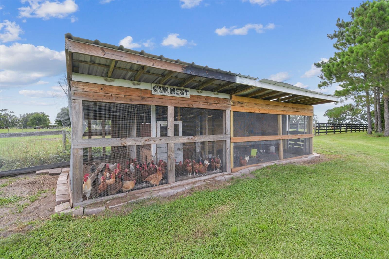 Chicken coop