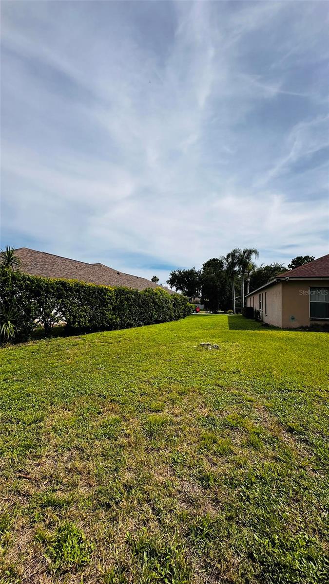Side Yard