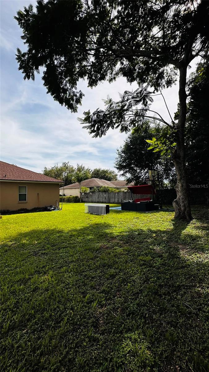 Backyard