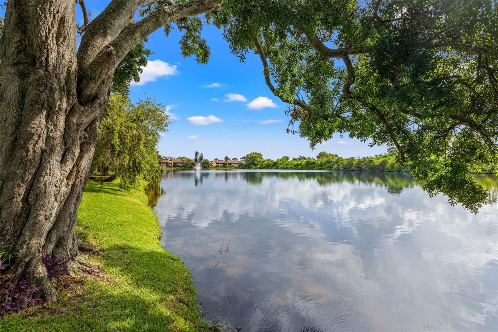 Lake views