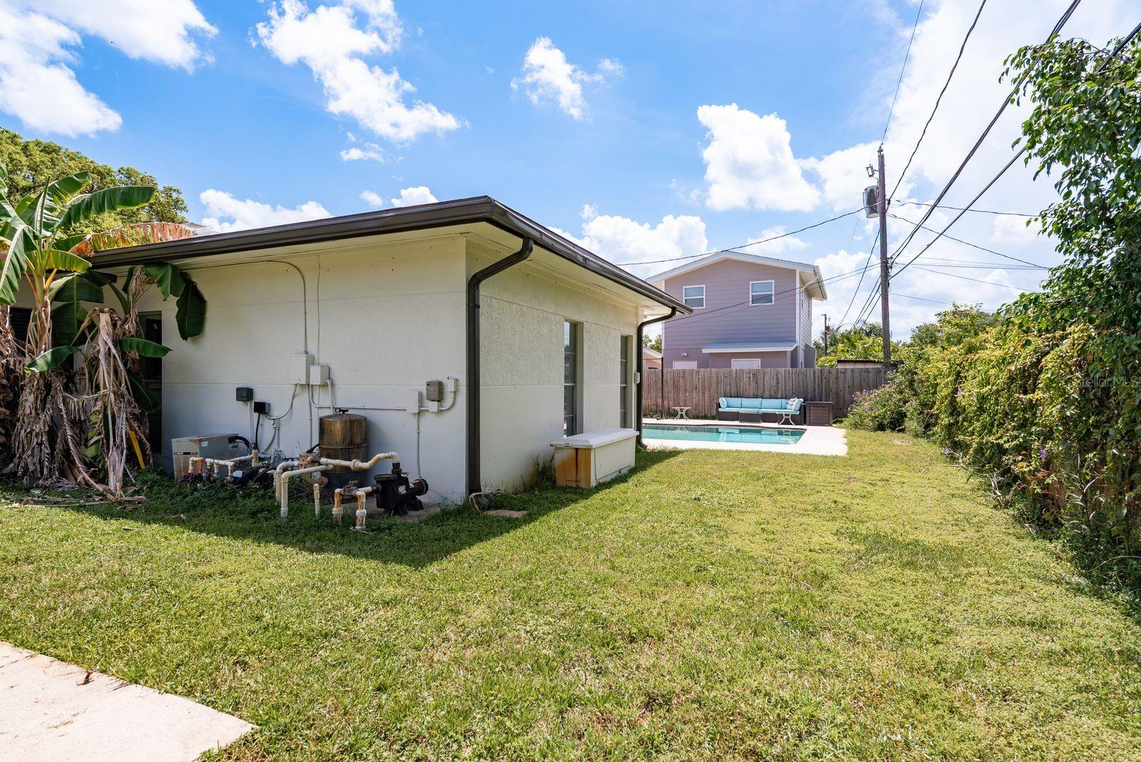 Back yard