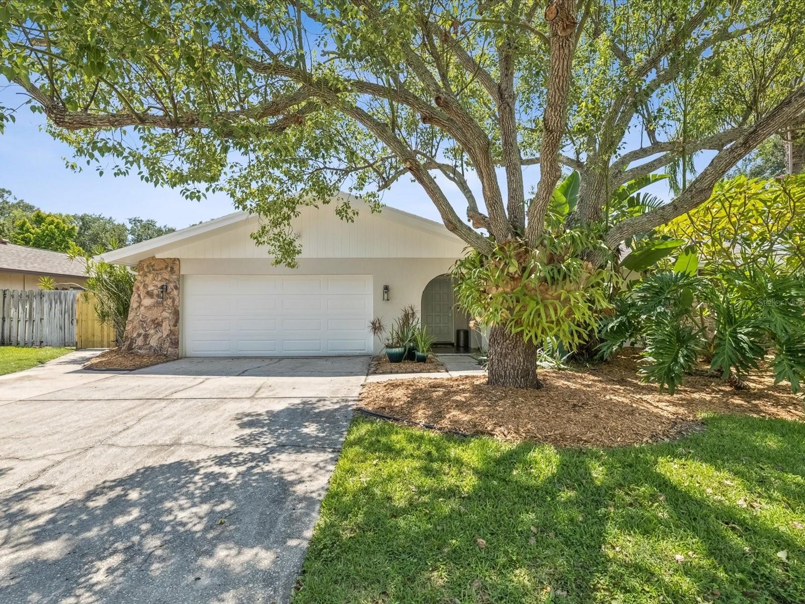 Welcome home to 1864 Brae Moor Dr in Dunedin!