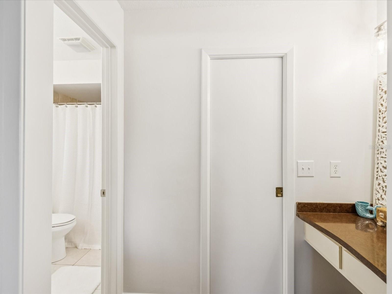 Primary Bedroom/Vanity Area & Walk-In Closet