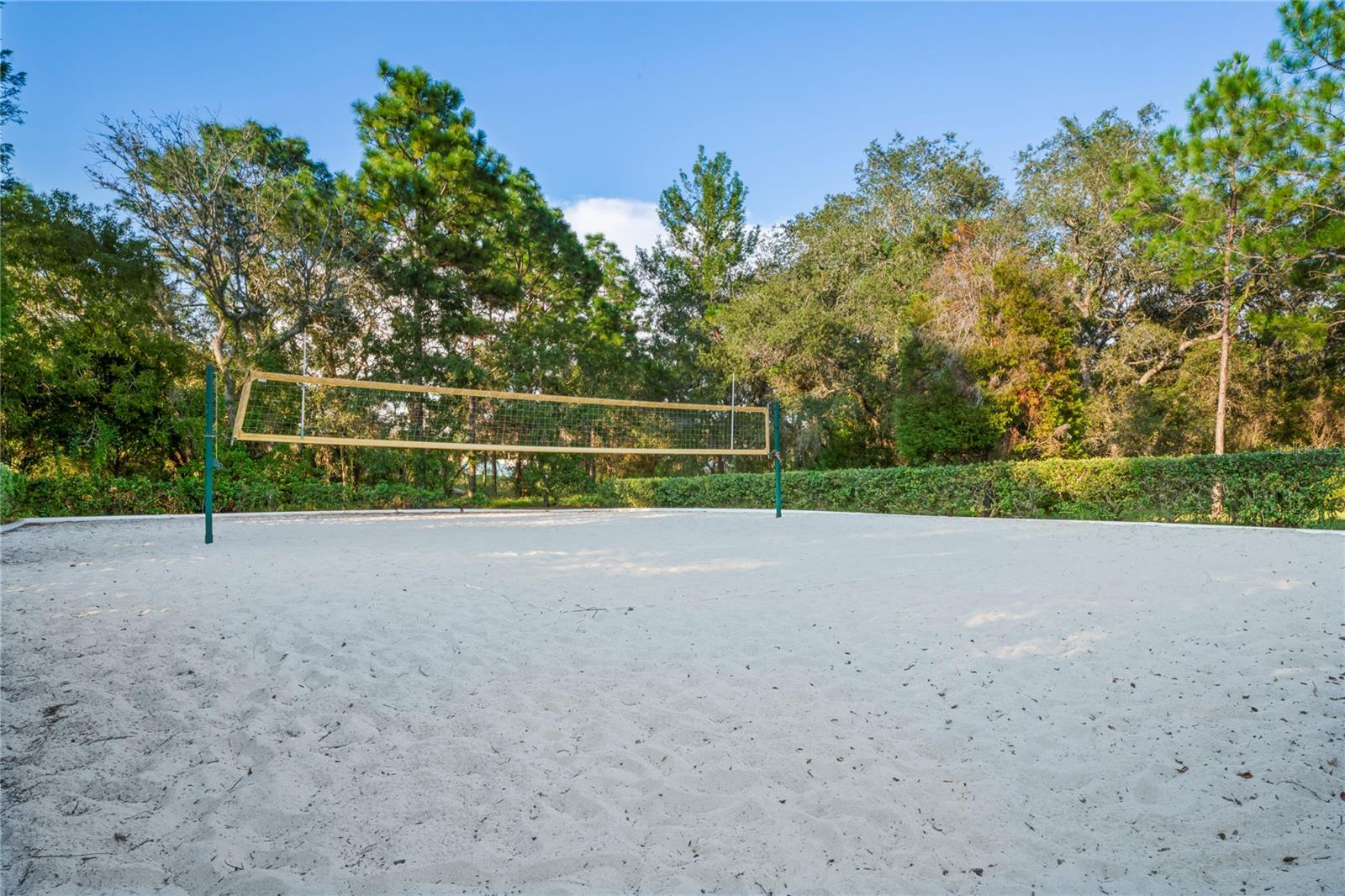 Community Volleyball