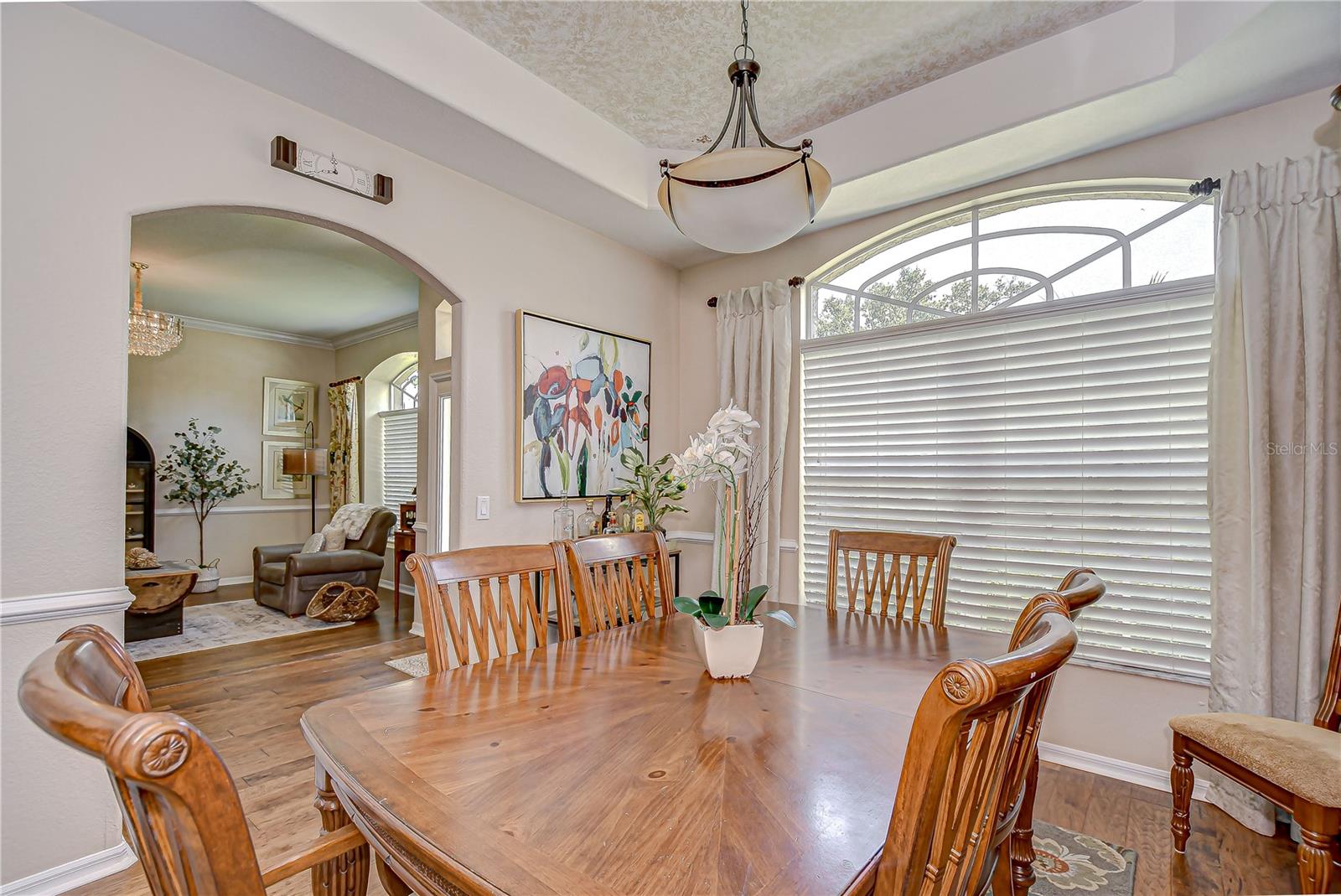 Dining room with tray ceiling!