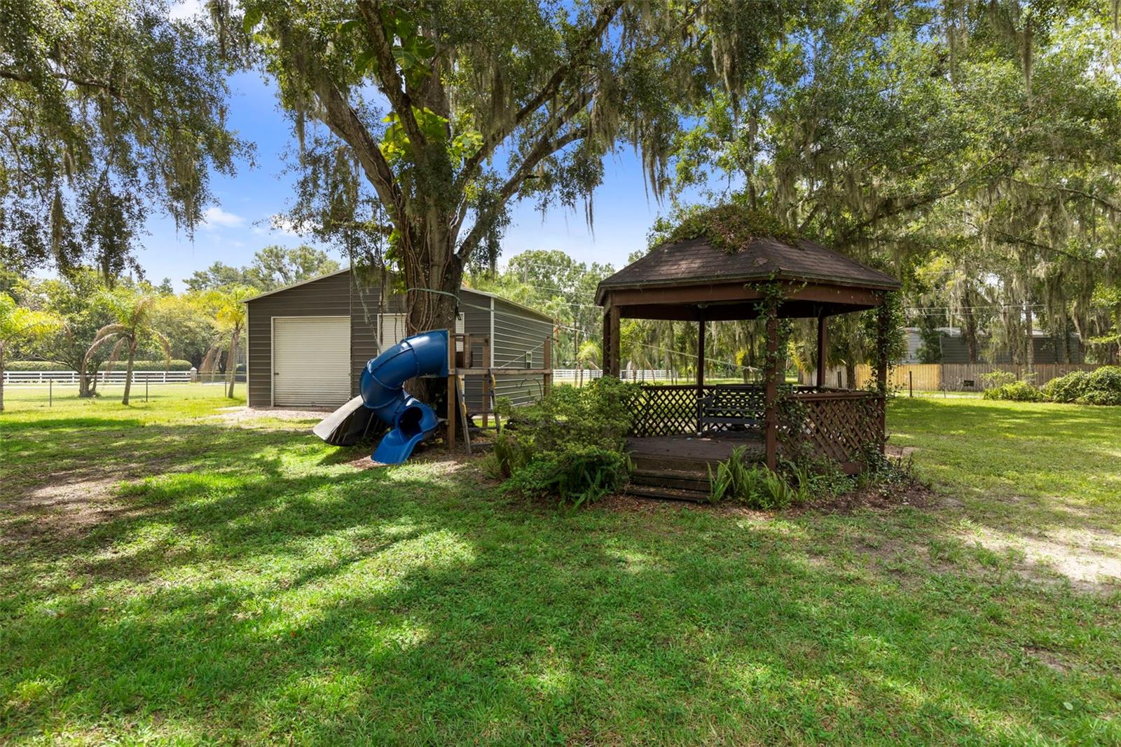 Backyard