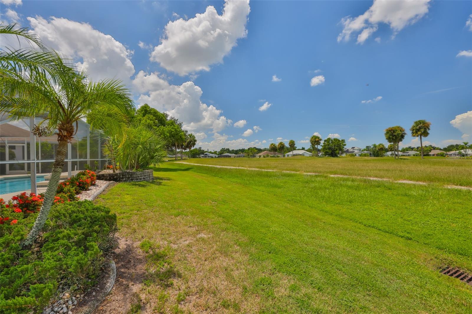 Privacy across the conservation area from your pool and tropical garden.