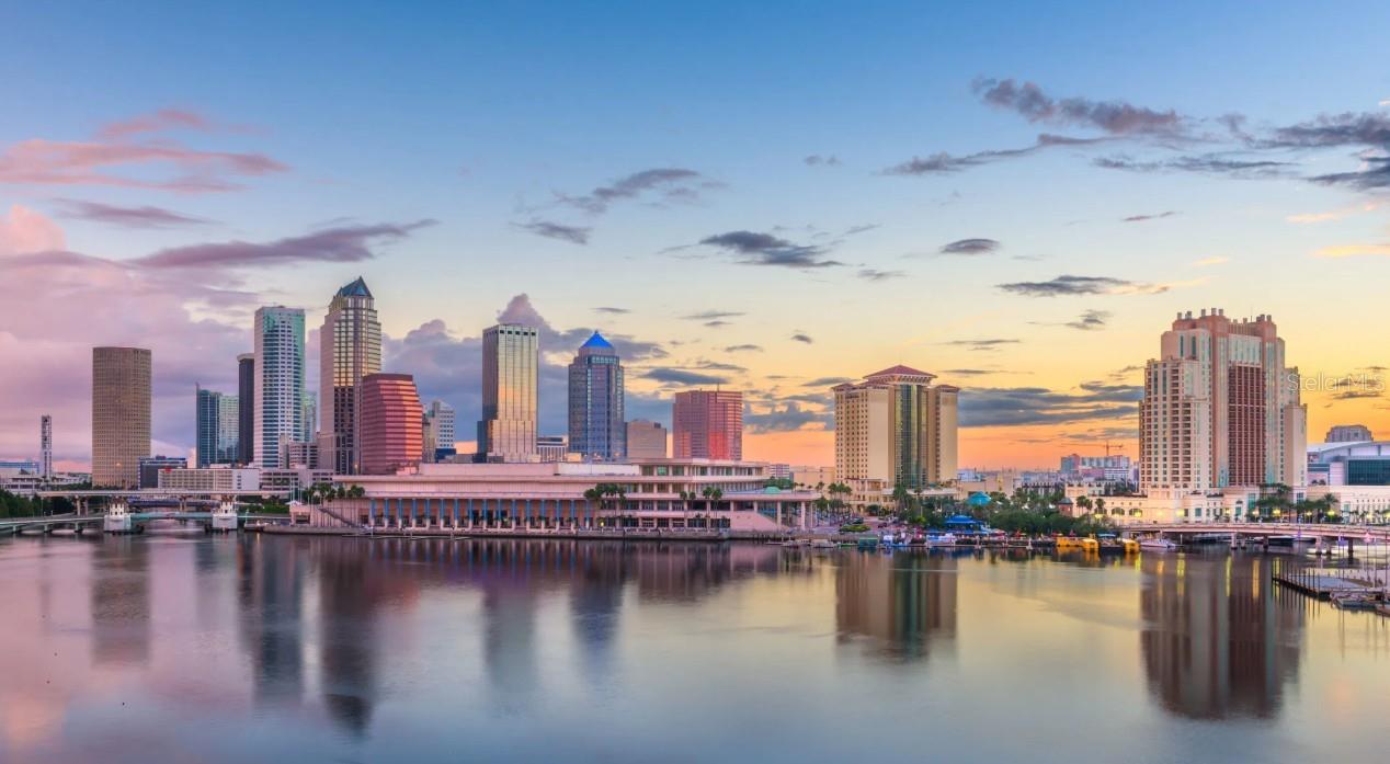 Downtown Tampa Just 14 Minutes from Graceland Estates