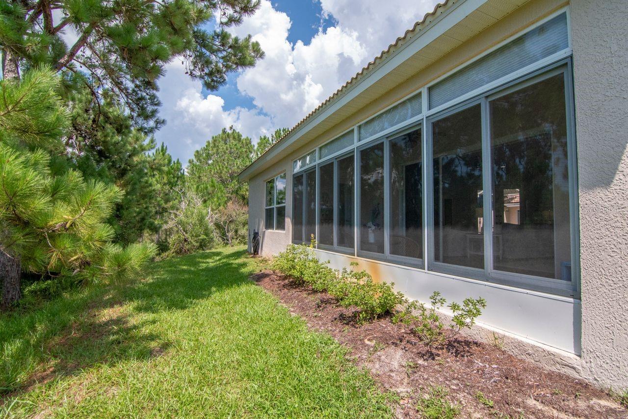 Backyard from Florida Room