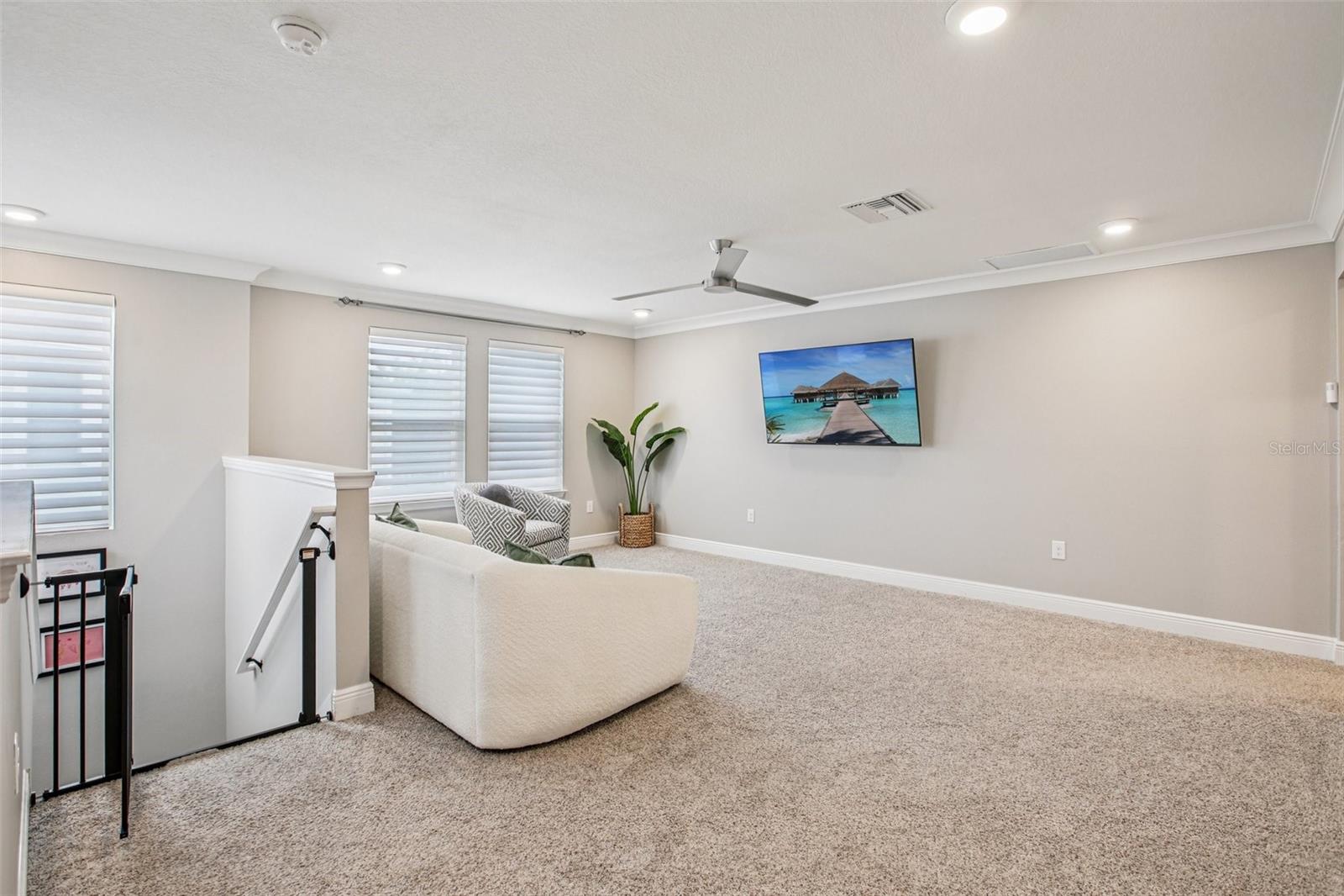 Movie Theater Room?