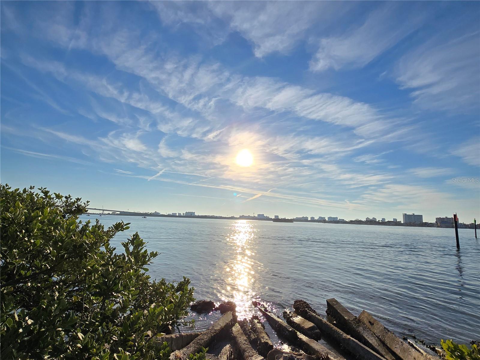 Near By Gulf Waters