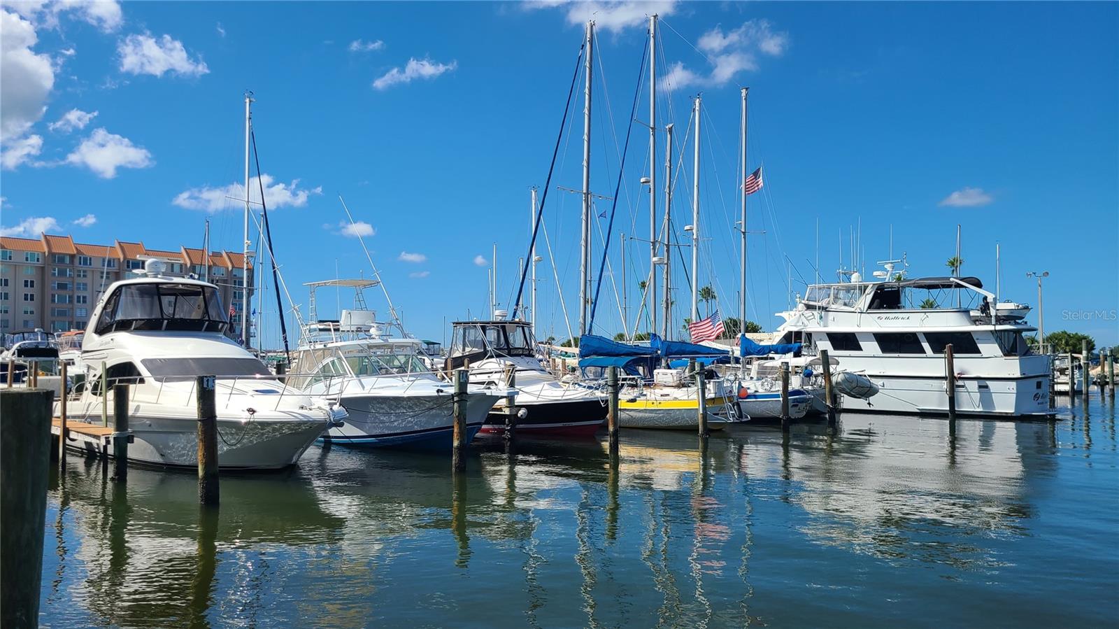 Dunedin Marina