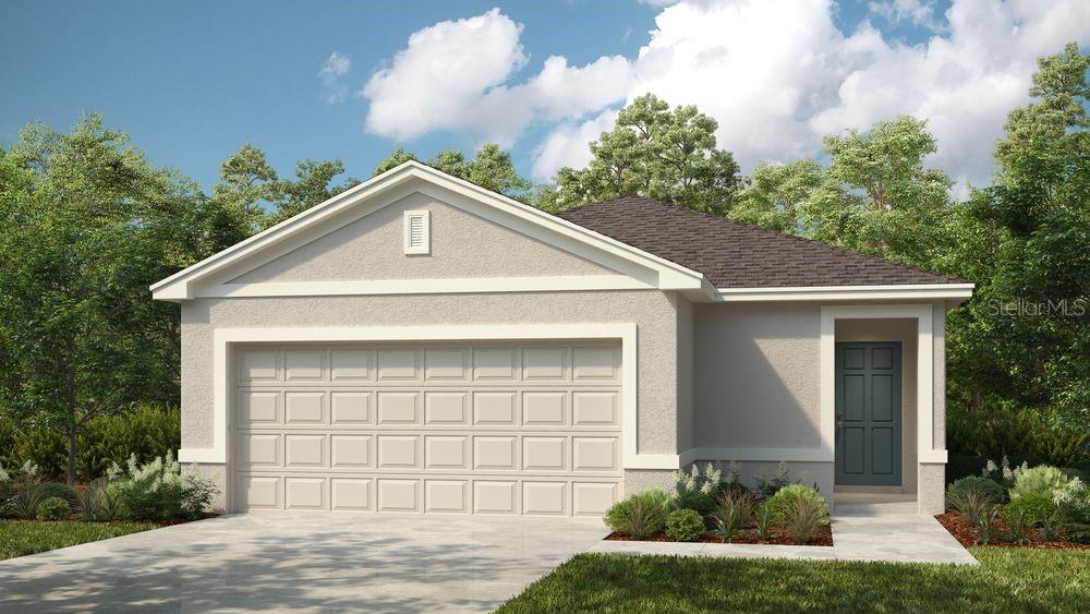Spruce Rendering