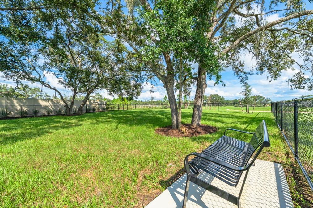 Palm Wind Community Amenities