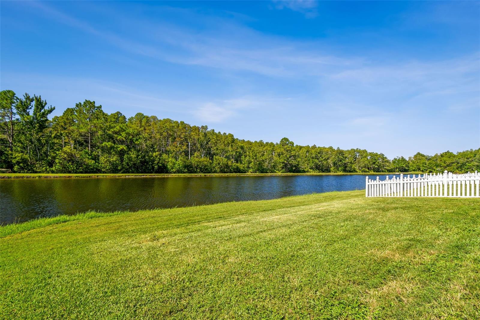 Pond View