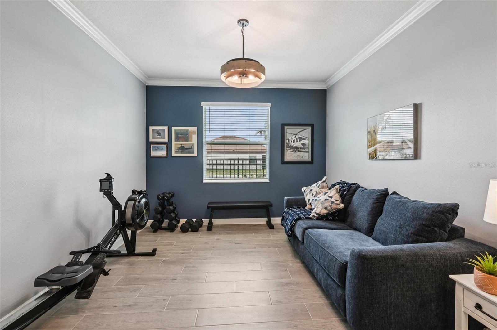 Flex Room