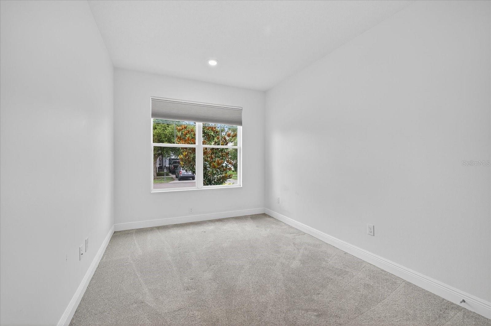 Downstairs Bedroom 1