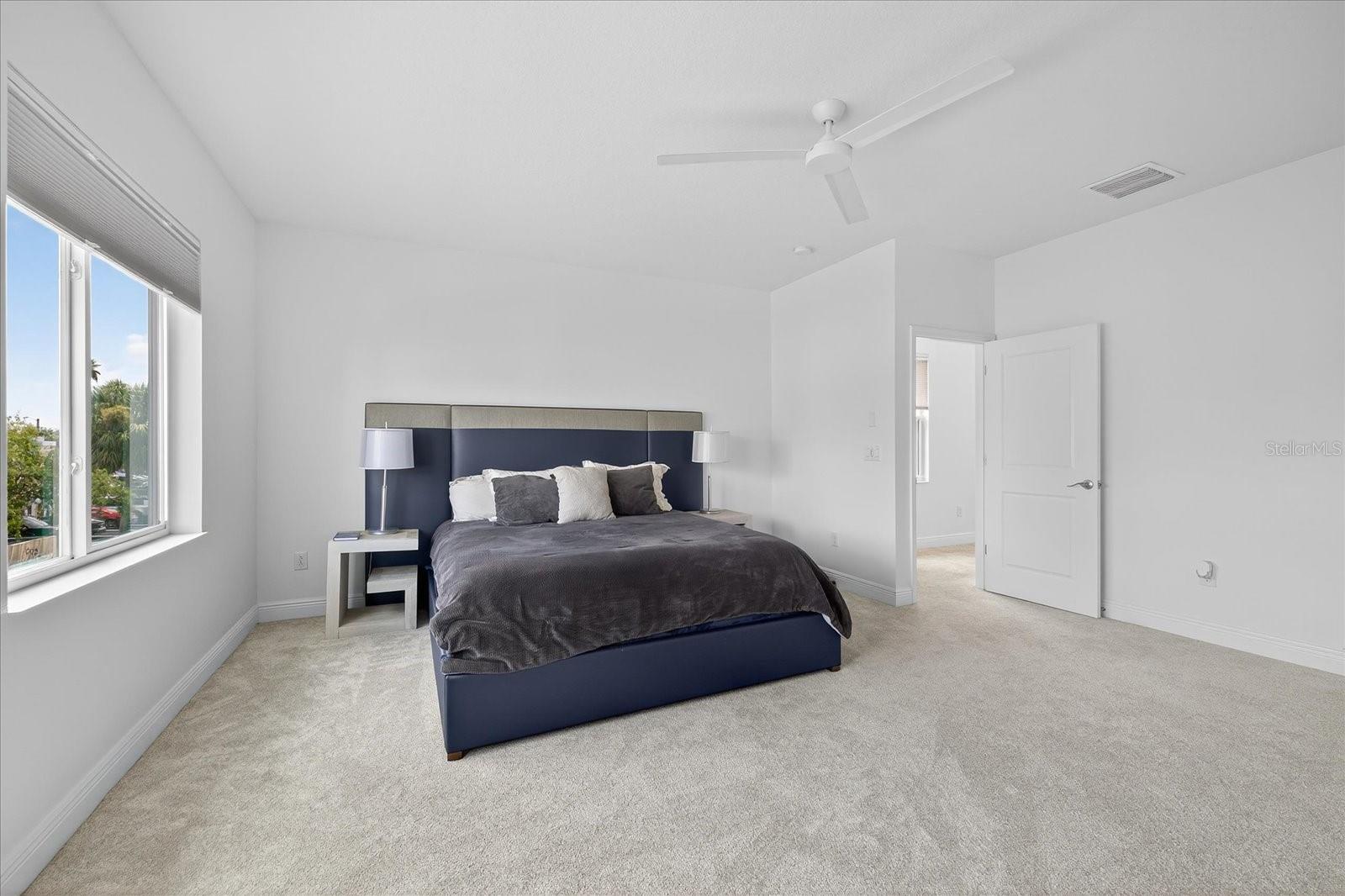 Primary Bedroom (Level 2)