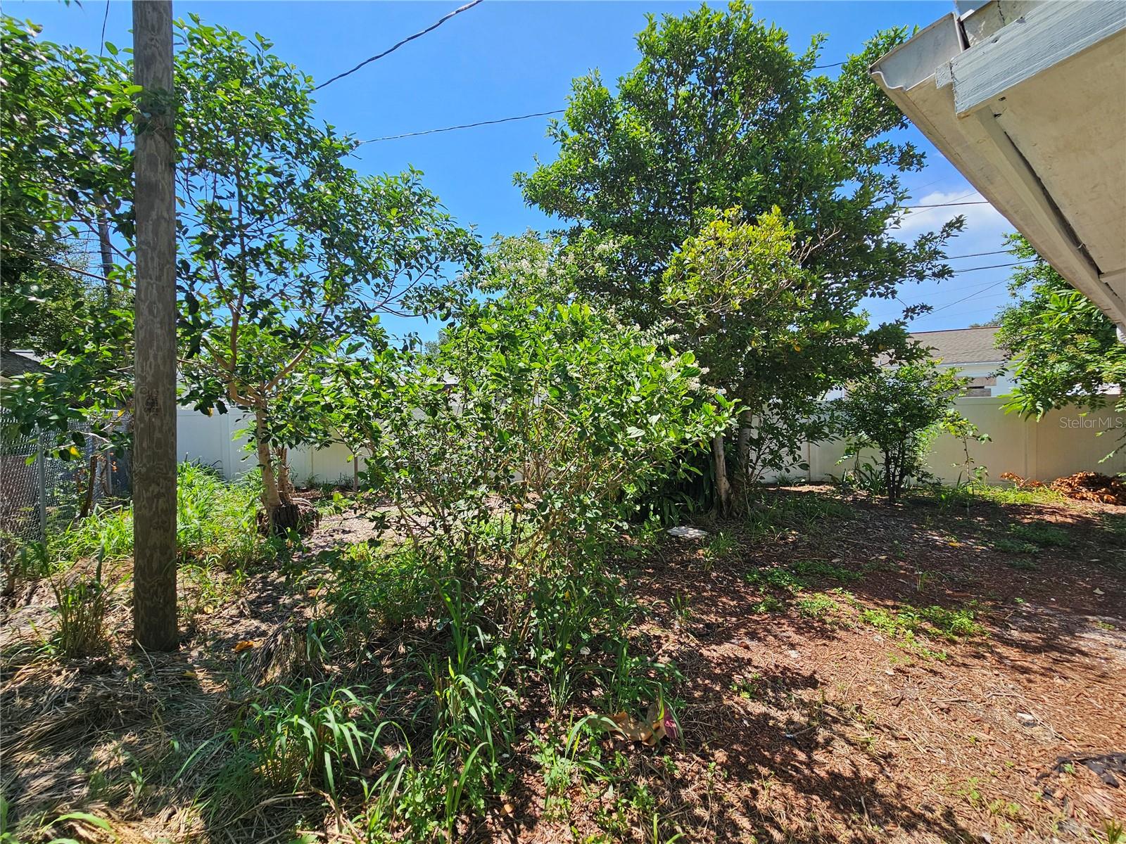 W7877532