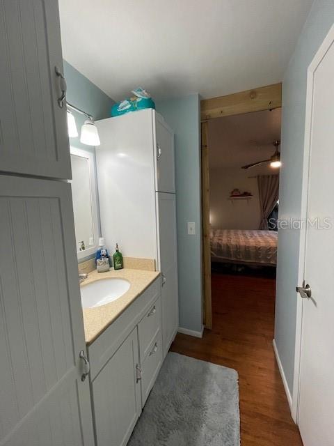 Vanity, Walk-in Closet & Ensuite Bathroom & Shower