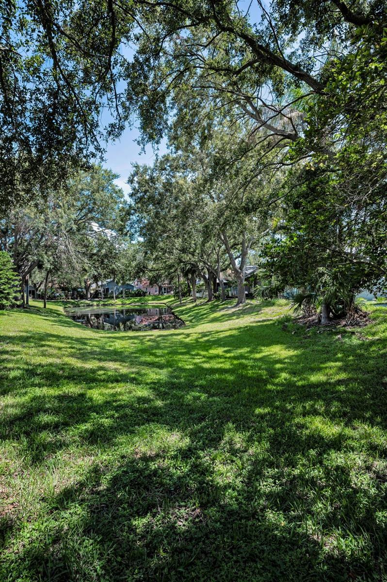 Common area behind property