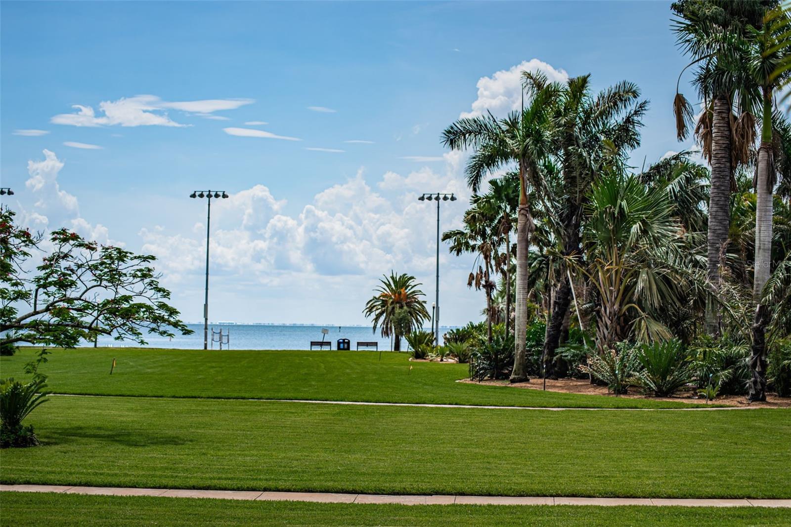 Main patio view