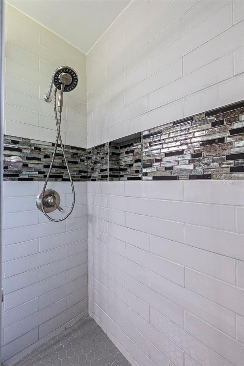 Main Bath Shower