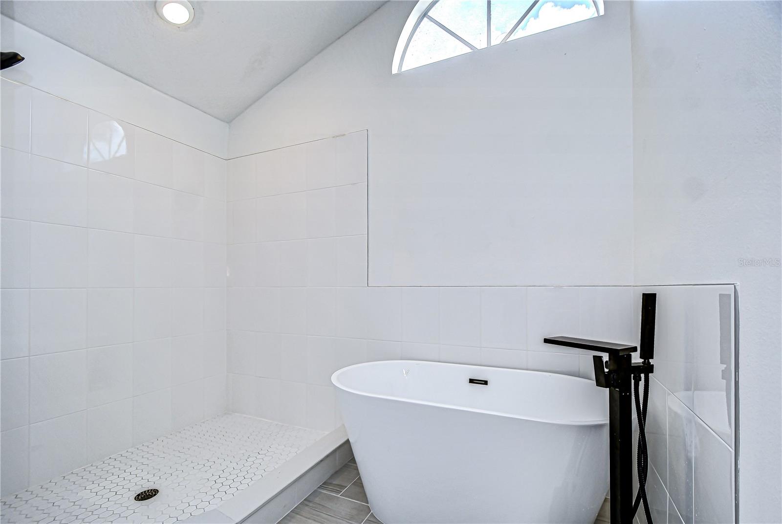 Walk-in shower and stand alone tub!