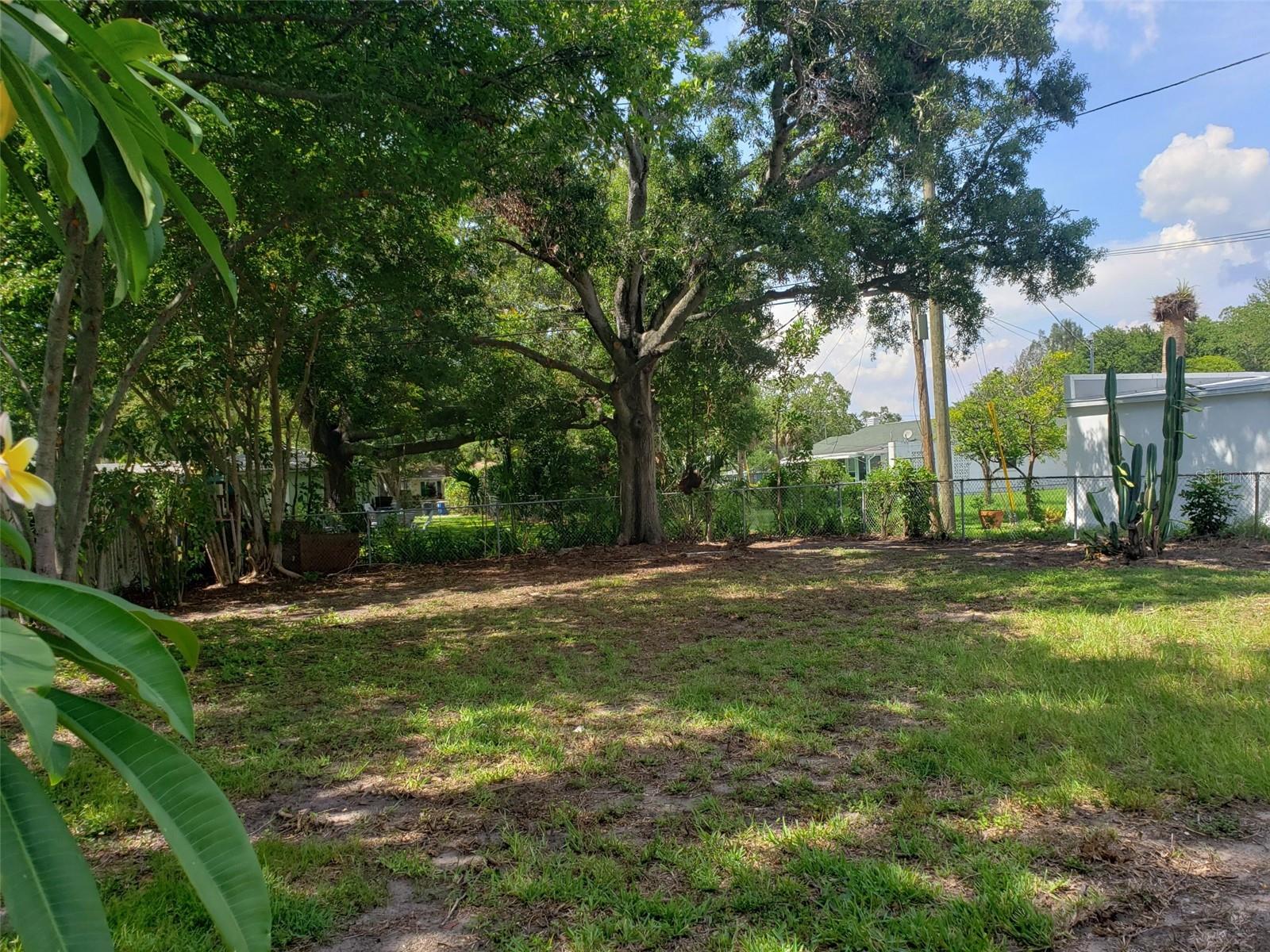 Large back yard