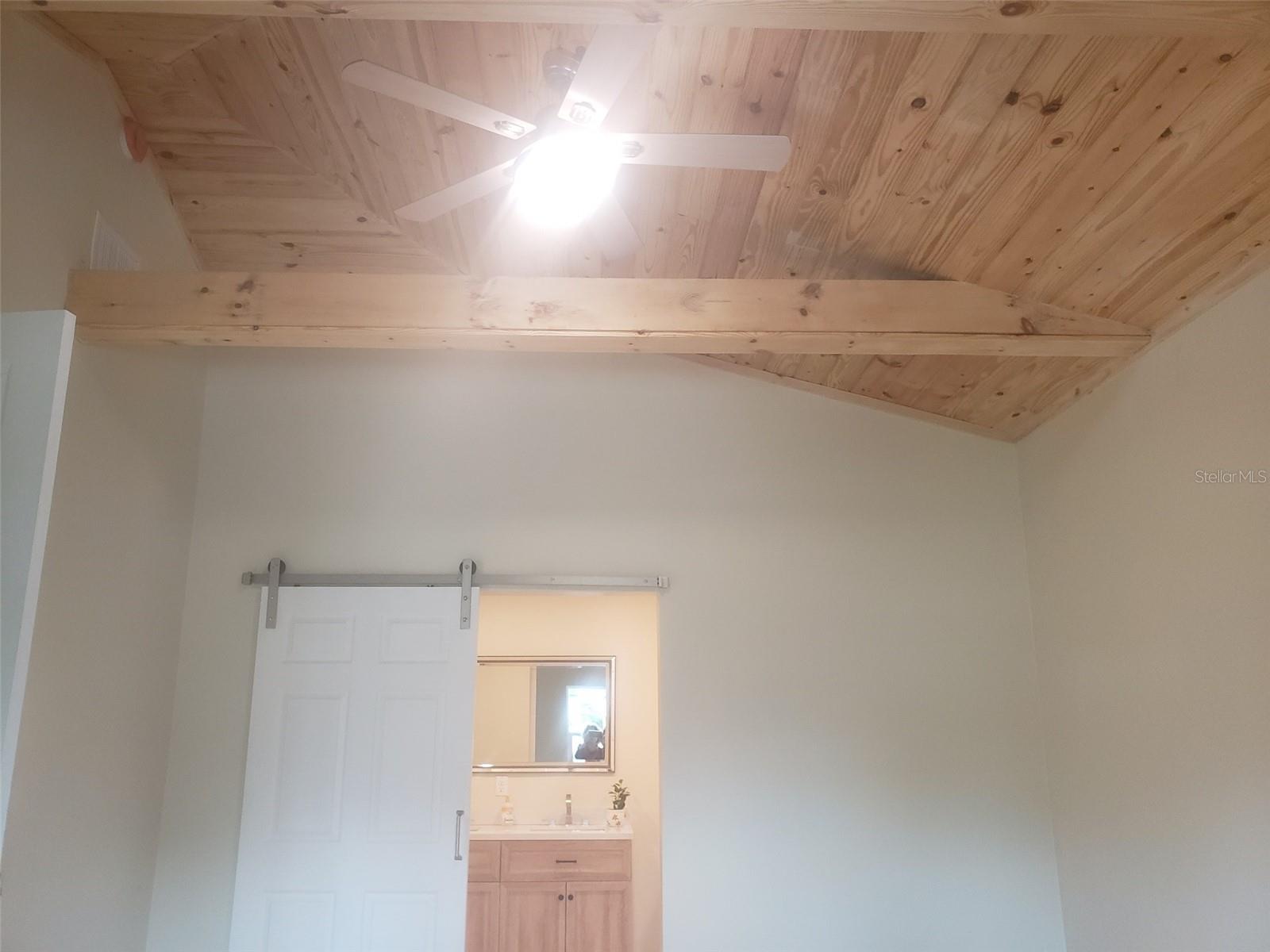 Mater Bedroom Cathedral Ceiling