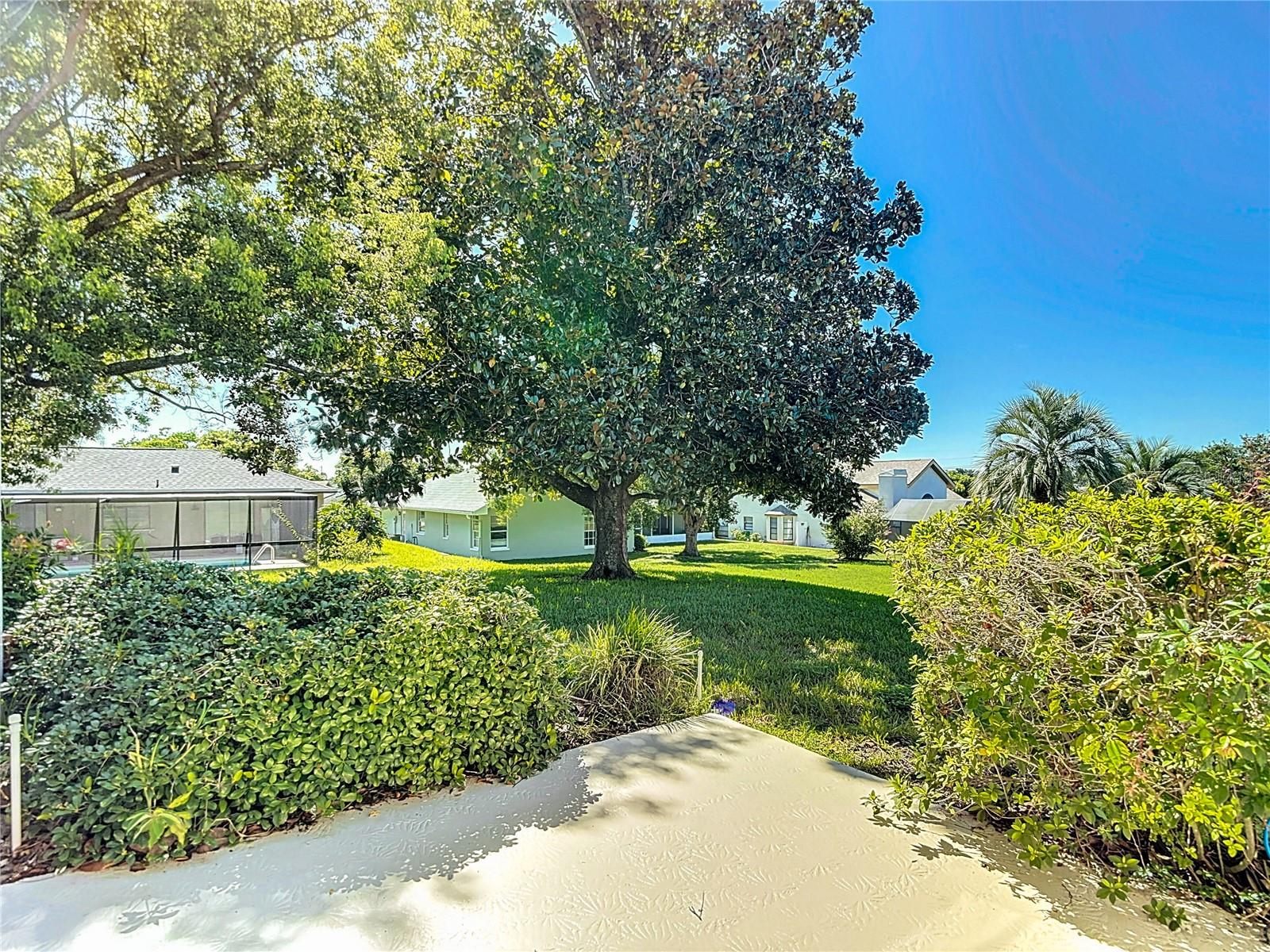 Backyard