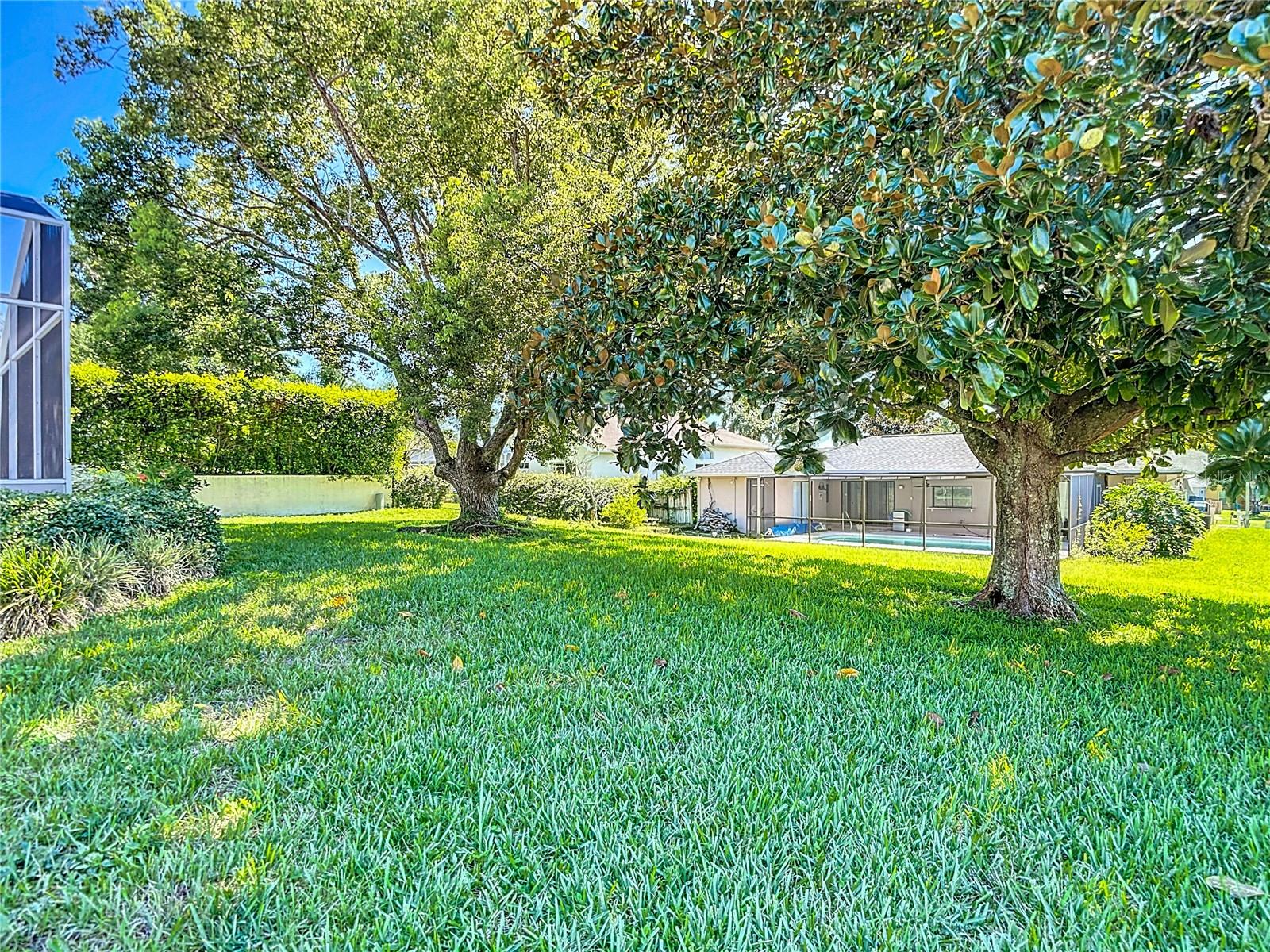 Backyard