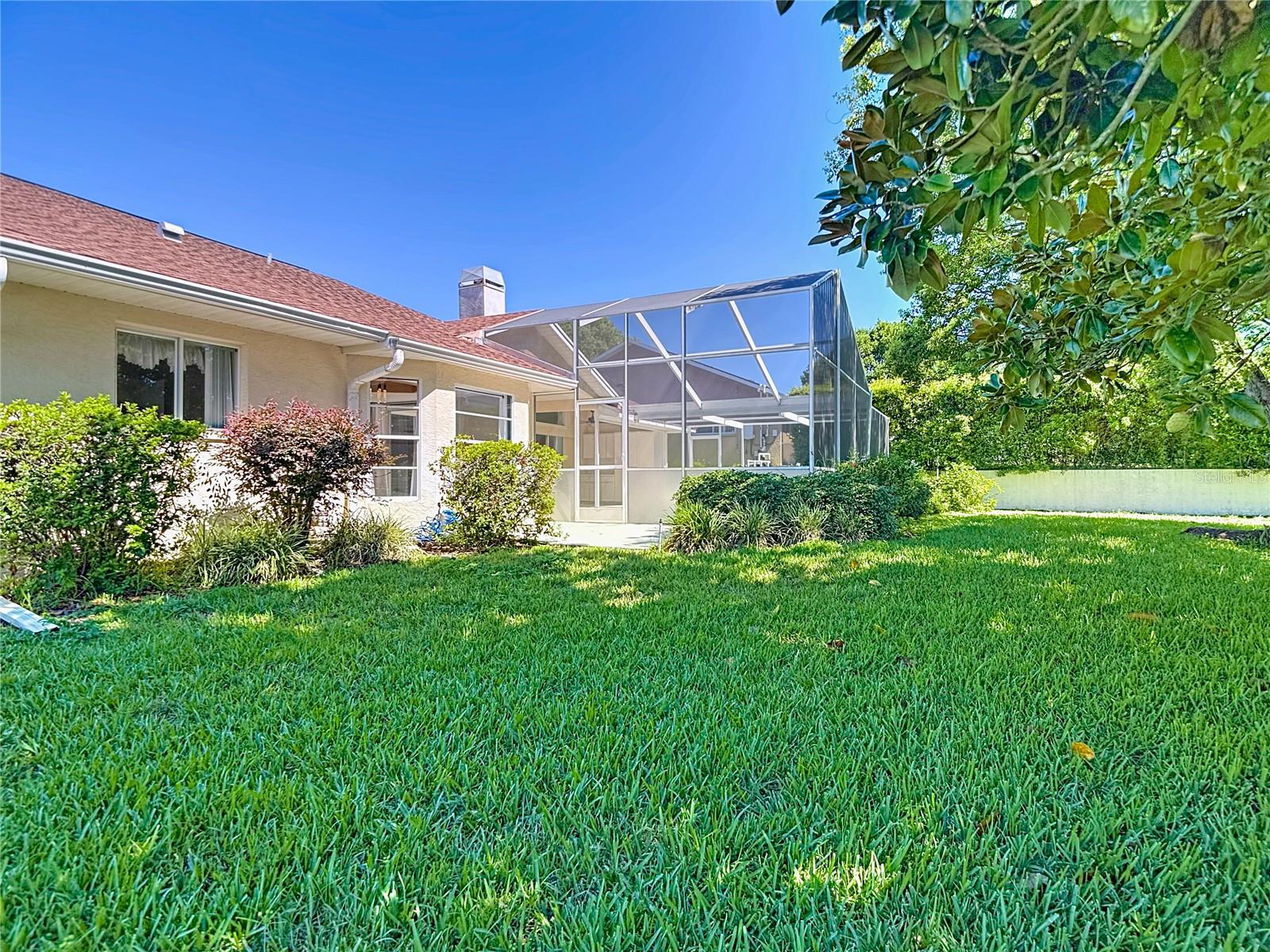 Backyard