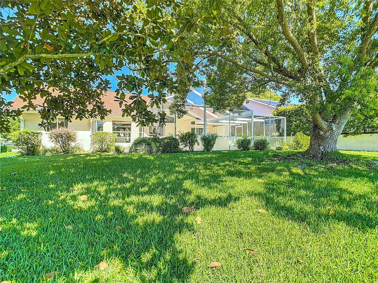 Backyard