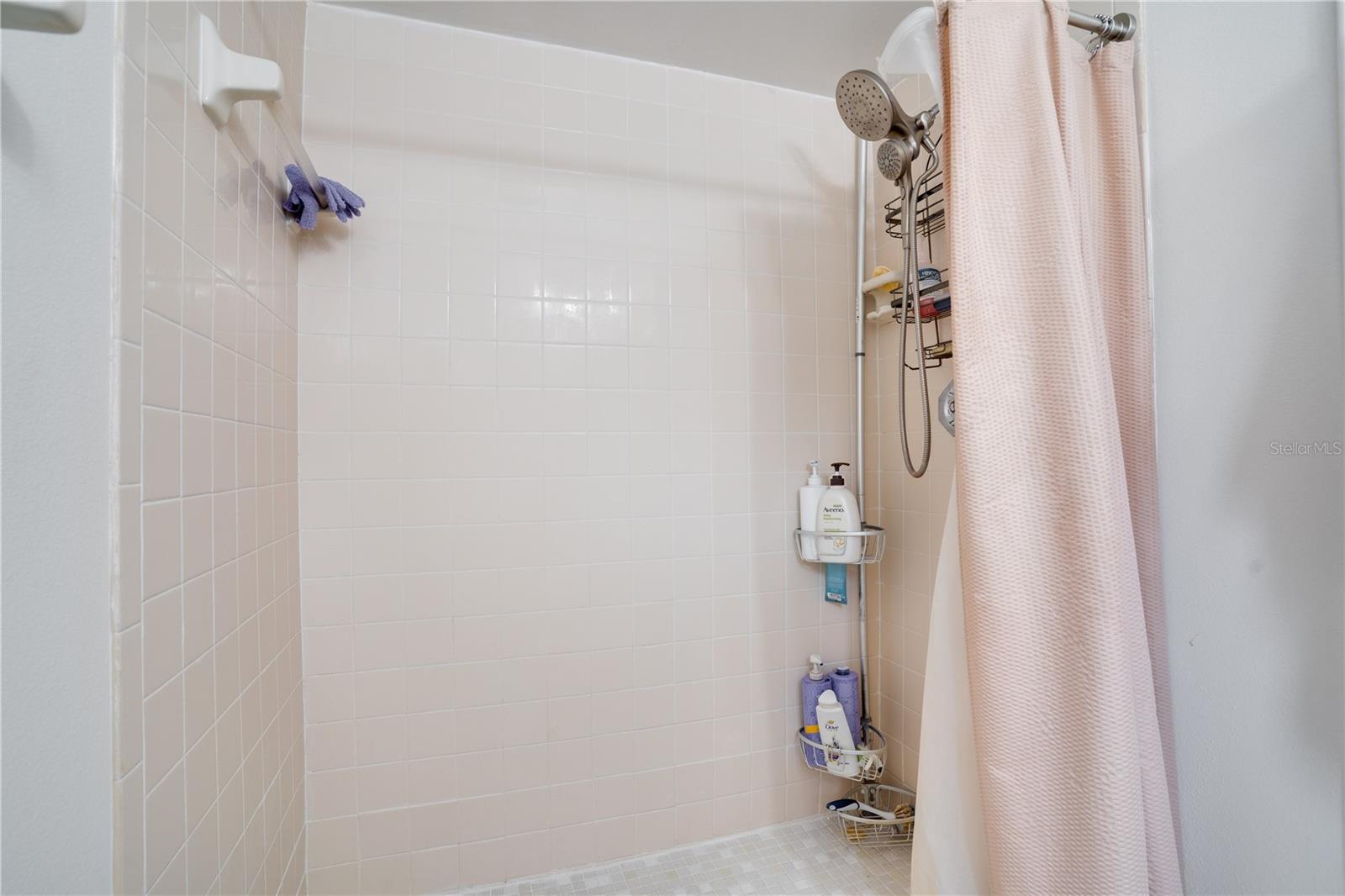 Primary Shower