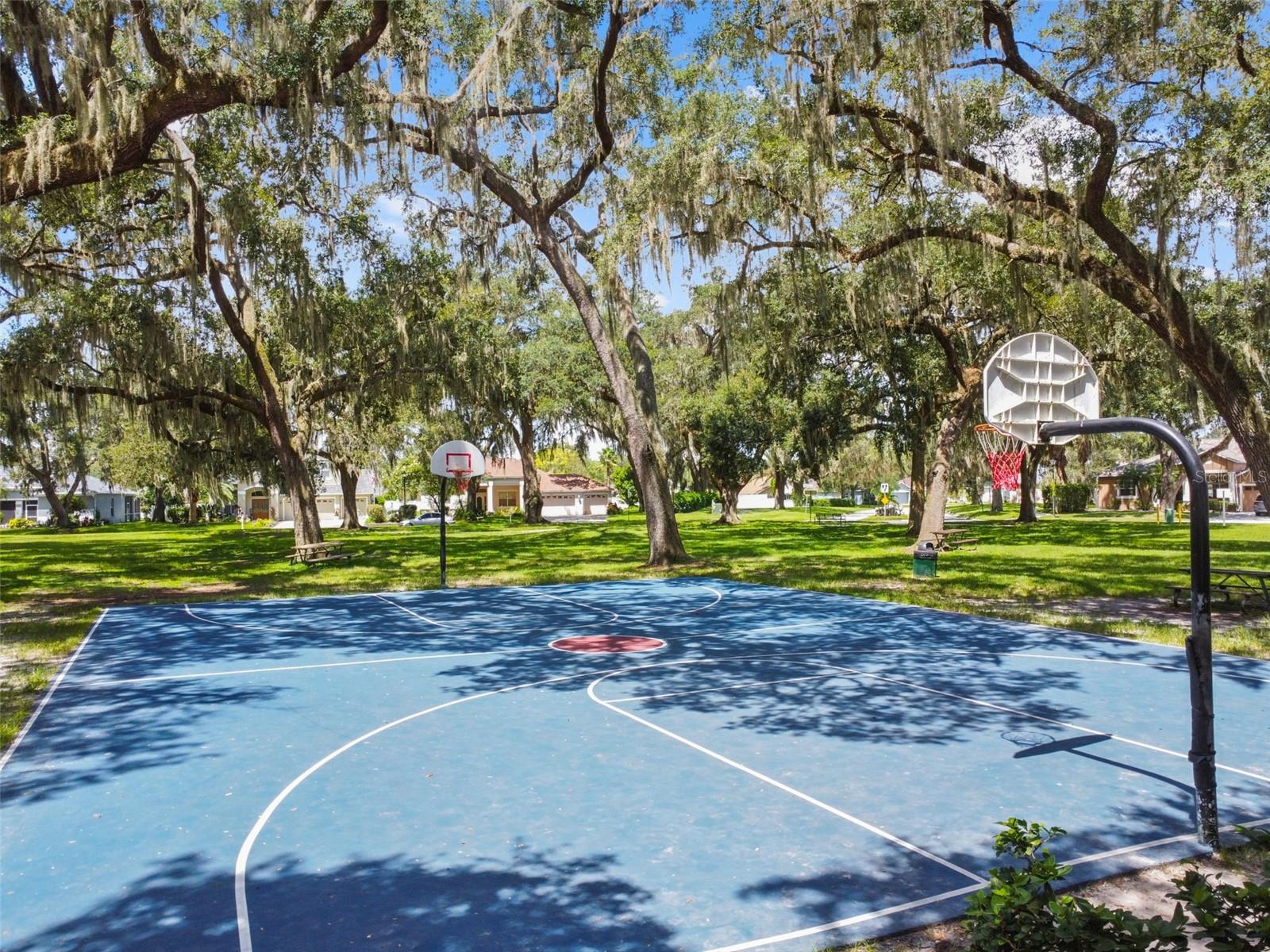 Basketball Courts