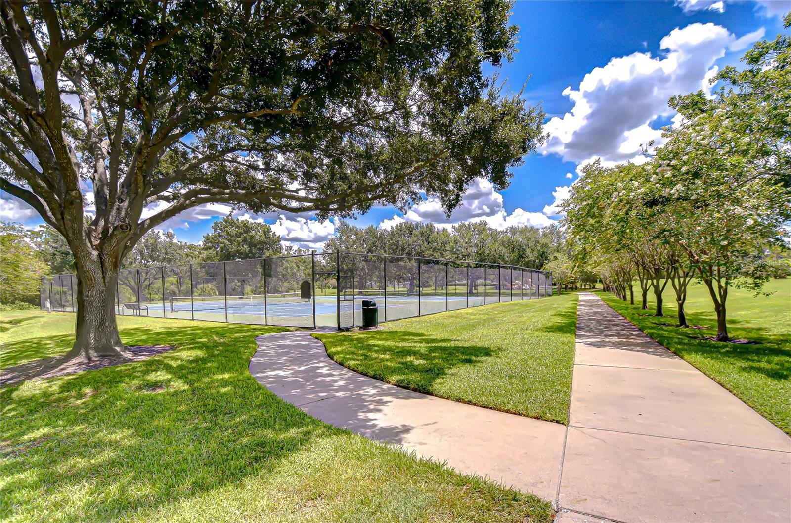 Carrollwood Village tennis courts