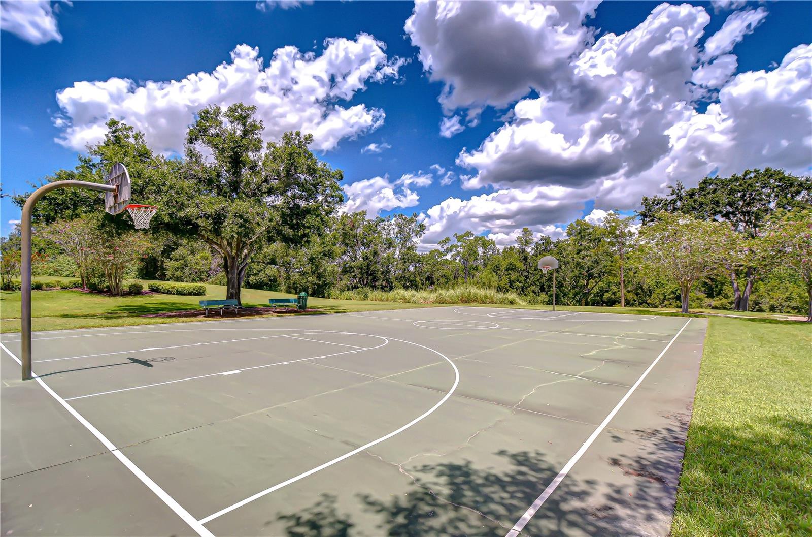 Carrollwood Villagebasketball court
