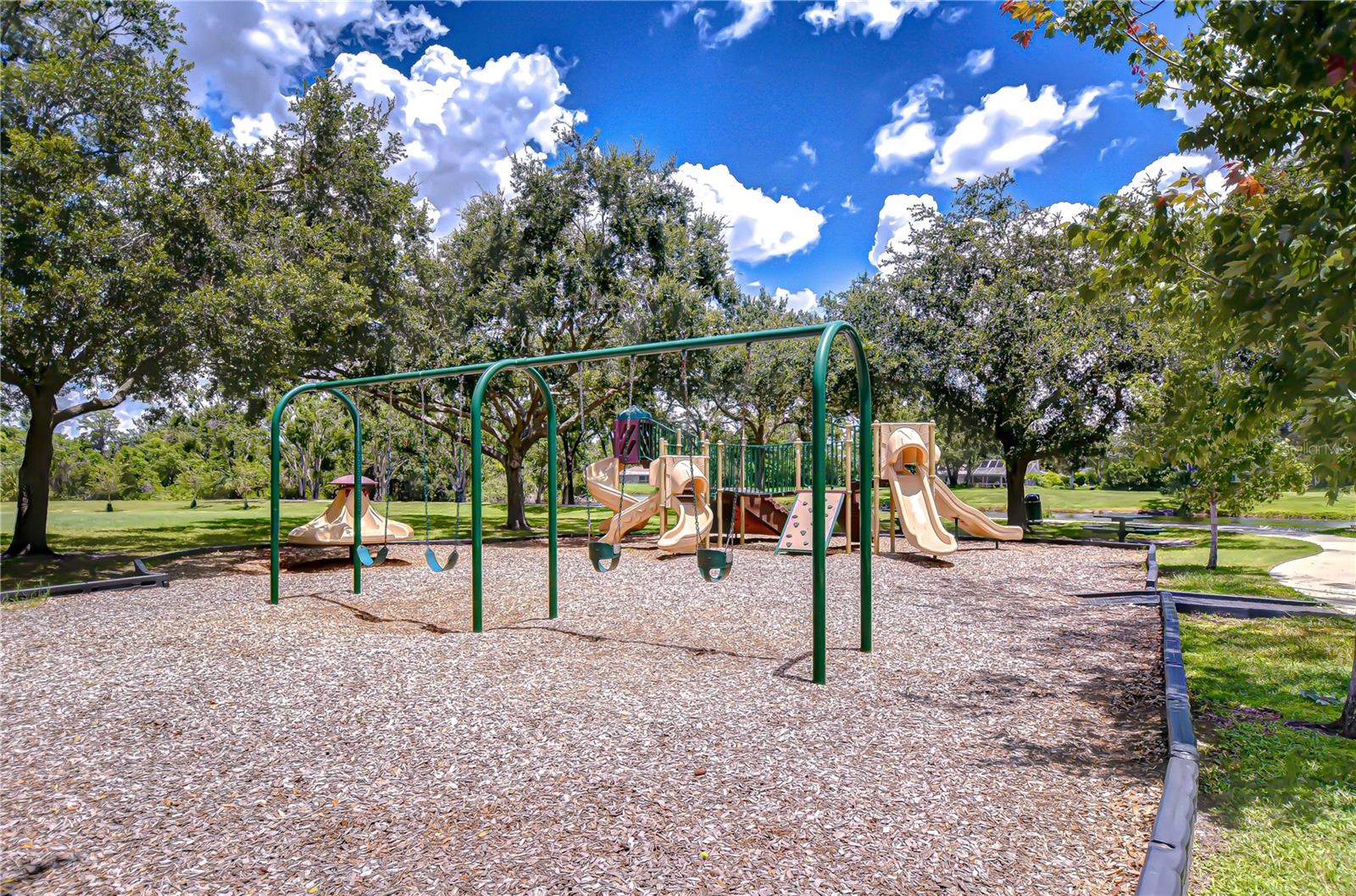 Carrollwood Village playground