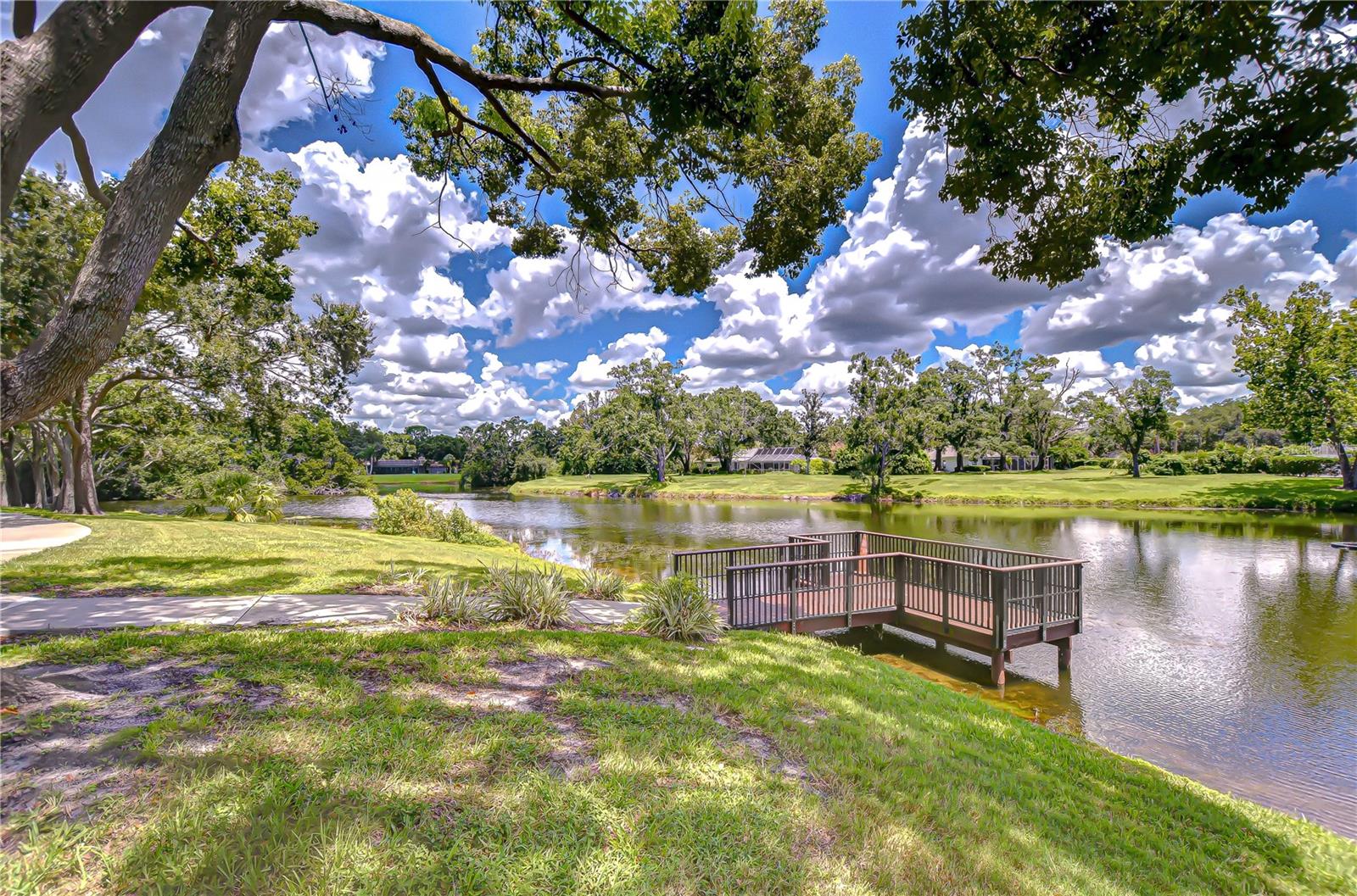 Carrollwood Village dock and pond