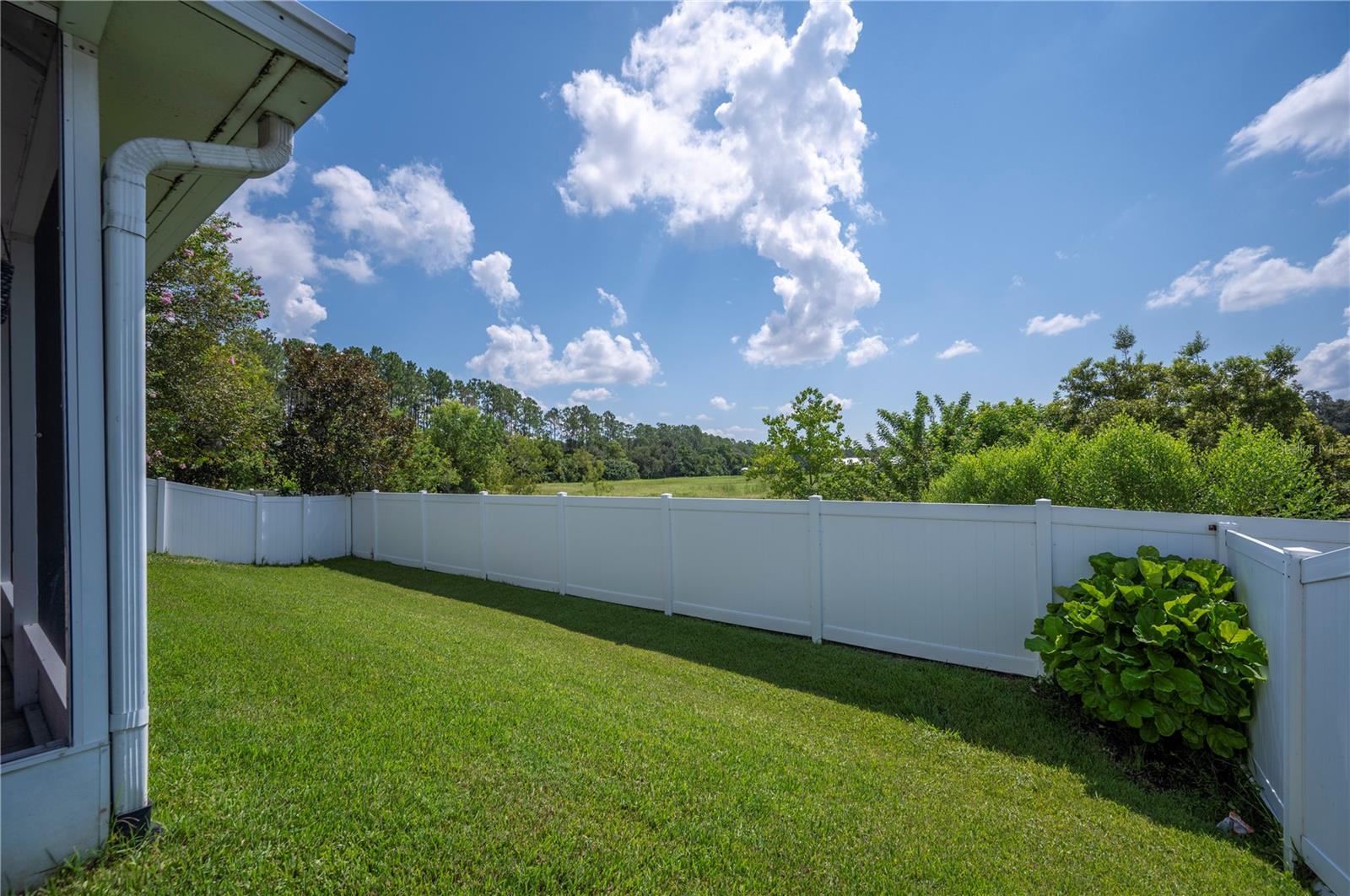 Large Fenced Yard