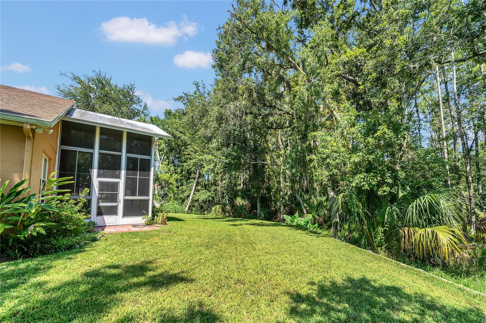 Backyard