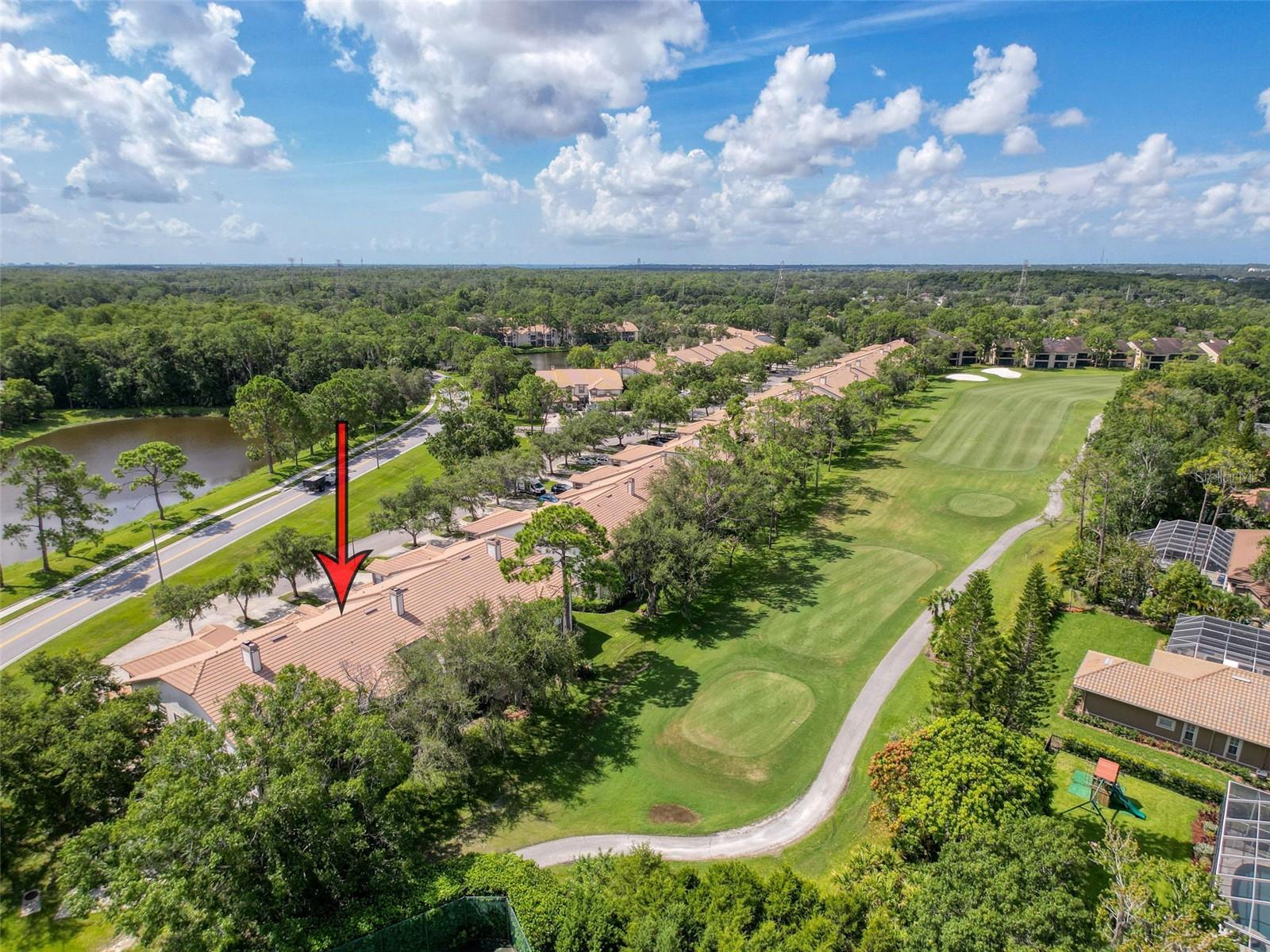 Aerial view of the community