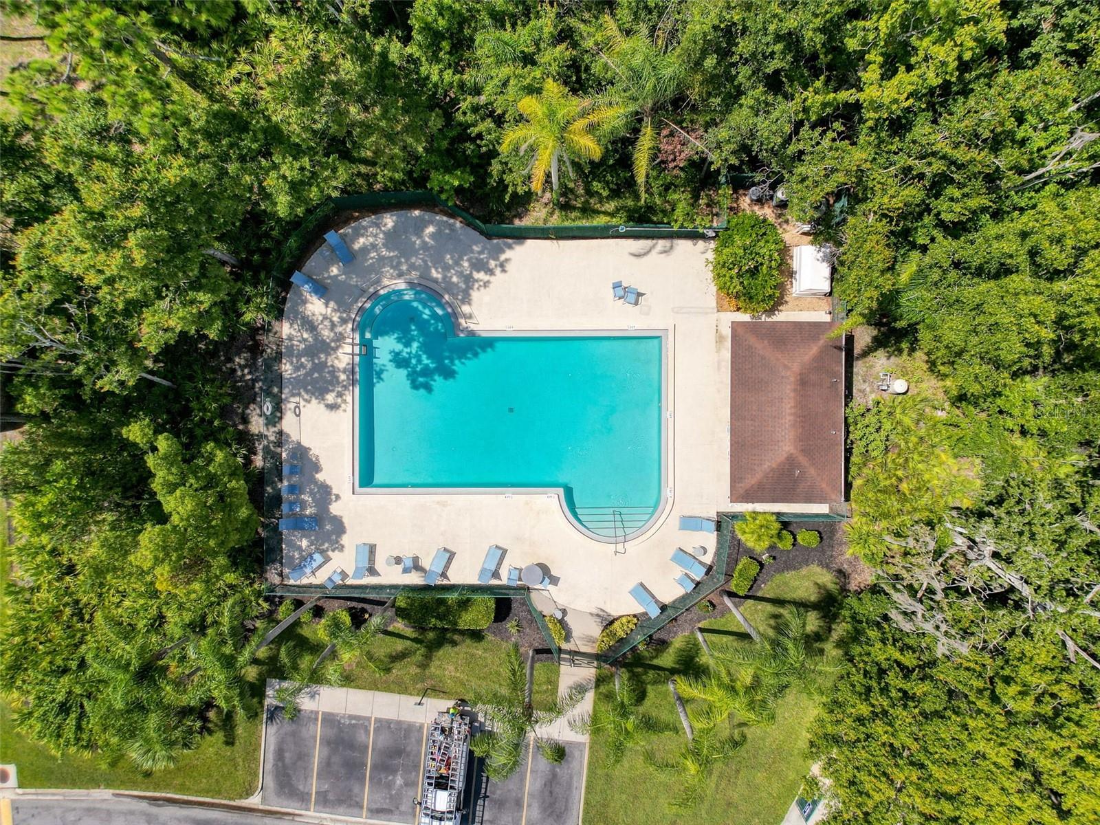 Aerial view of the community pool