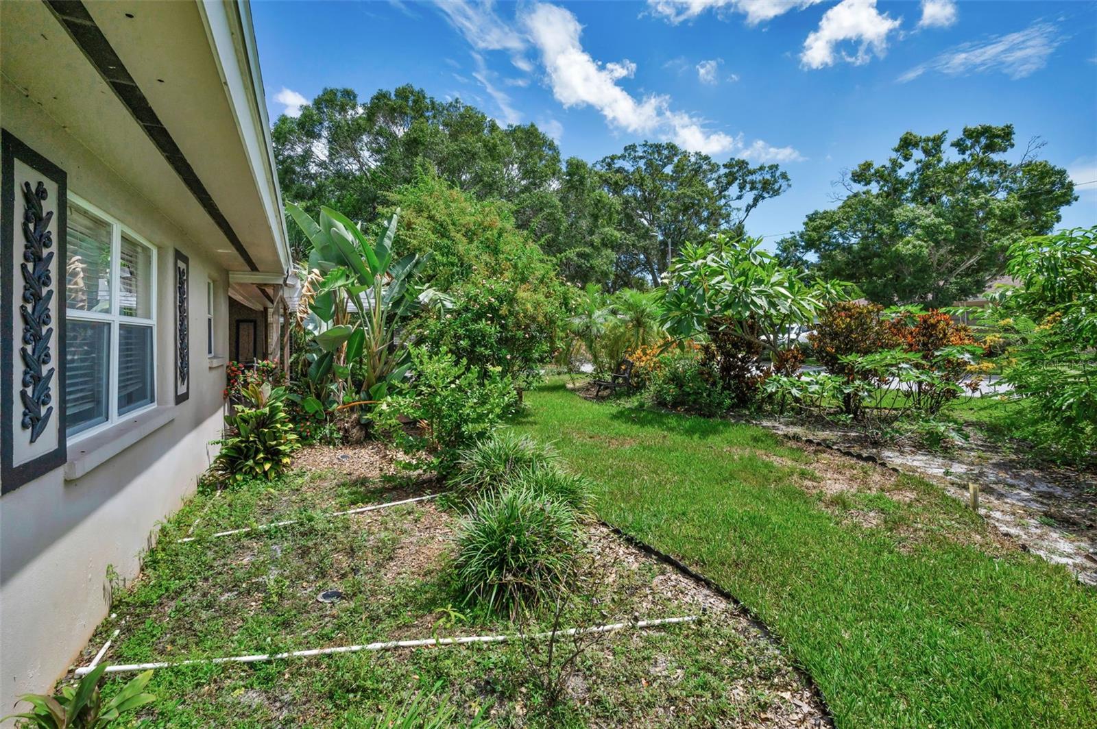 front yard