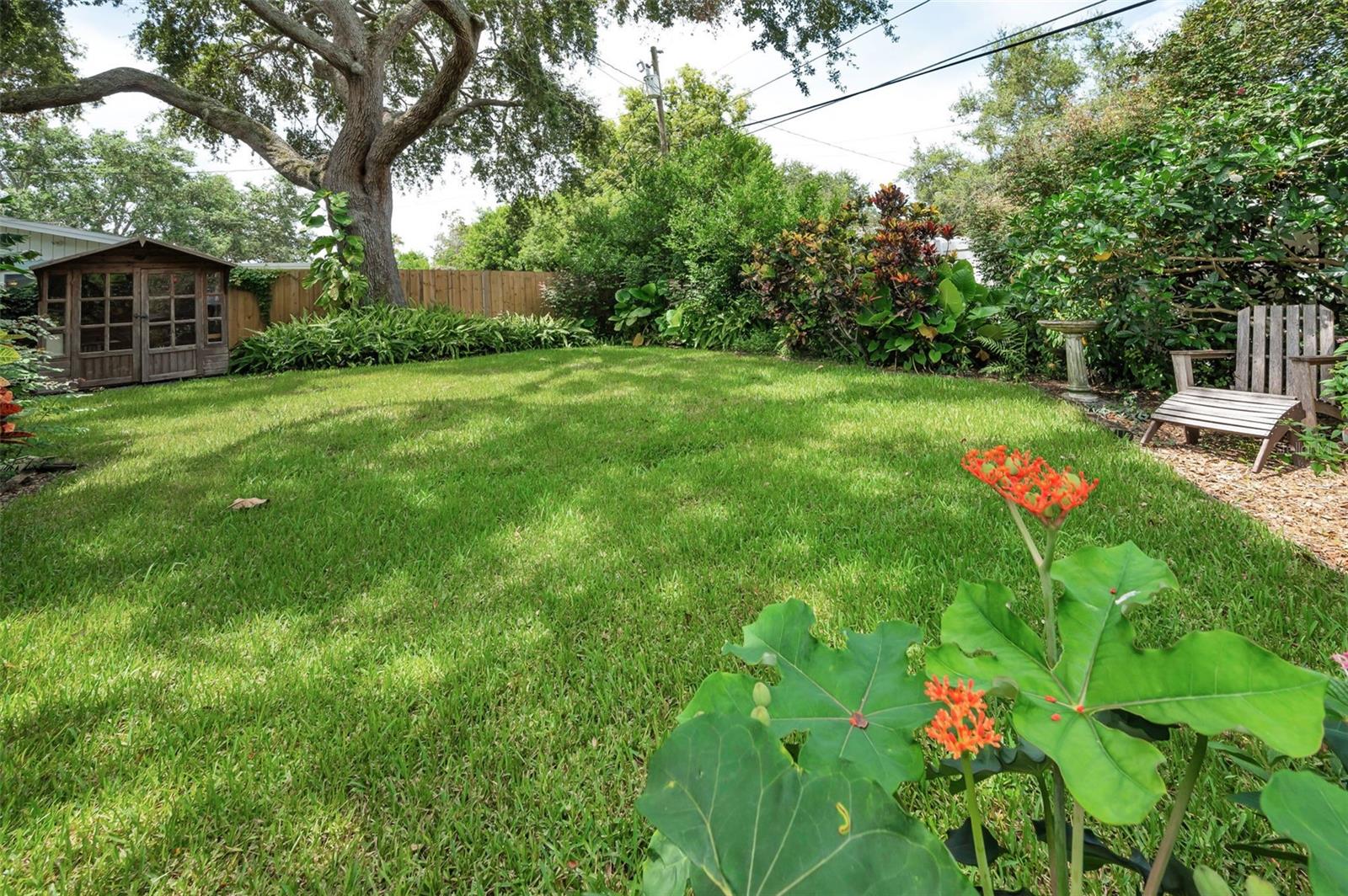 Back Yard