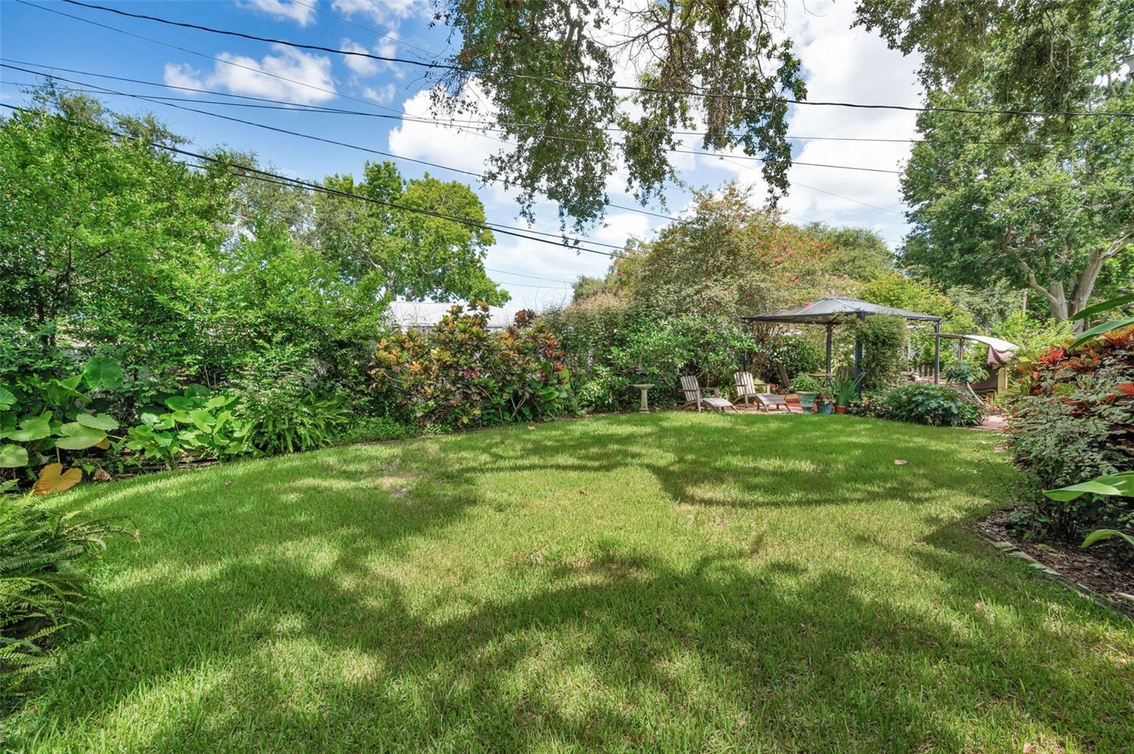 Back Yard
