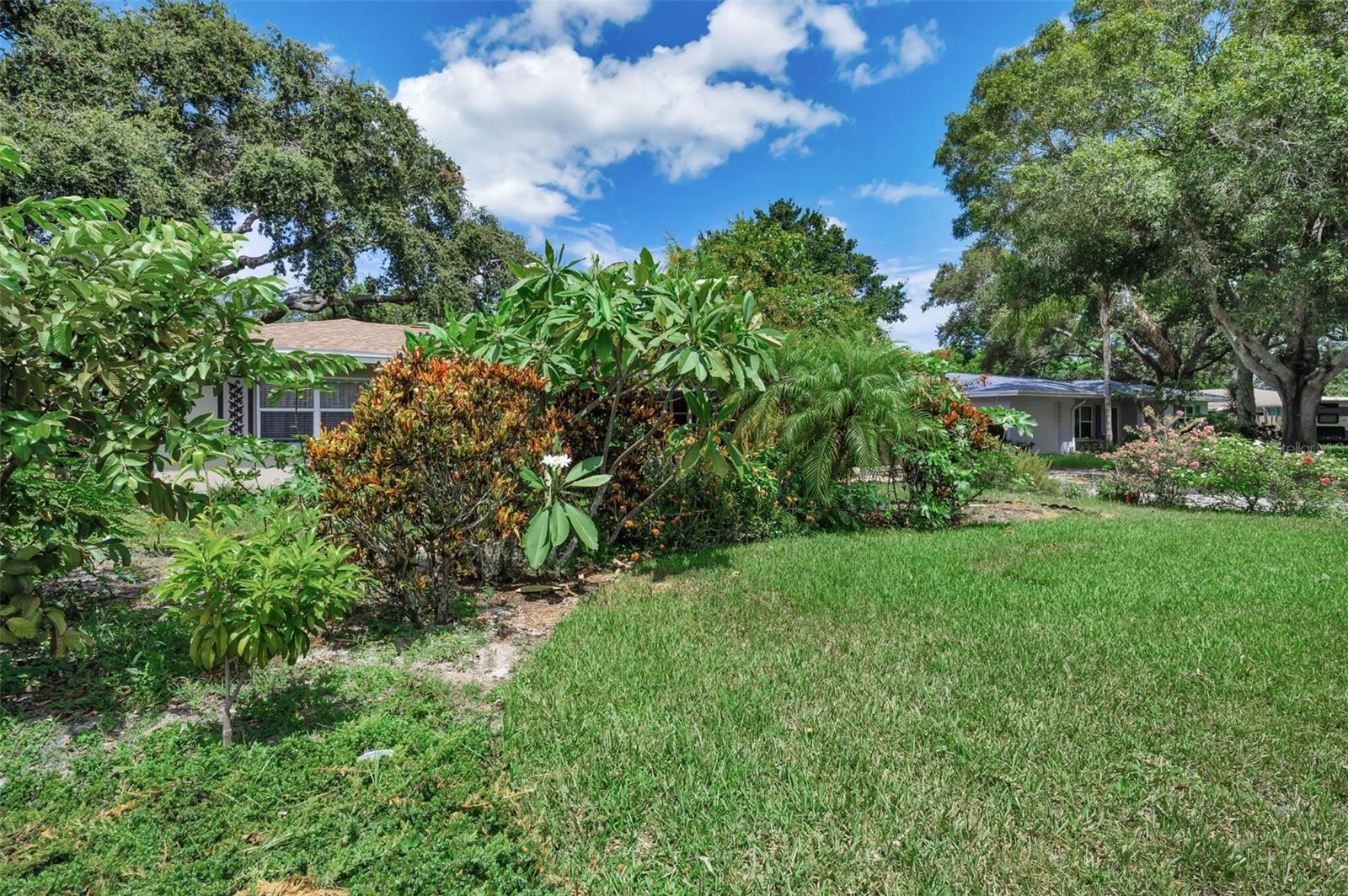 front yard