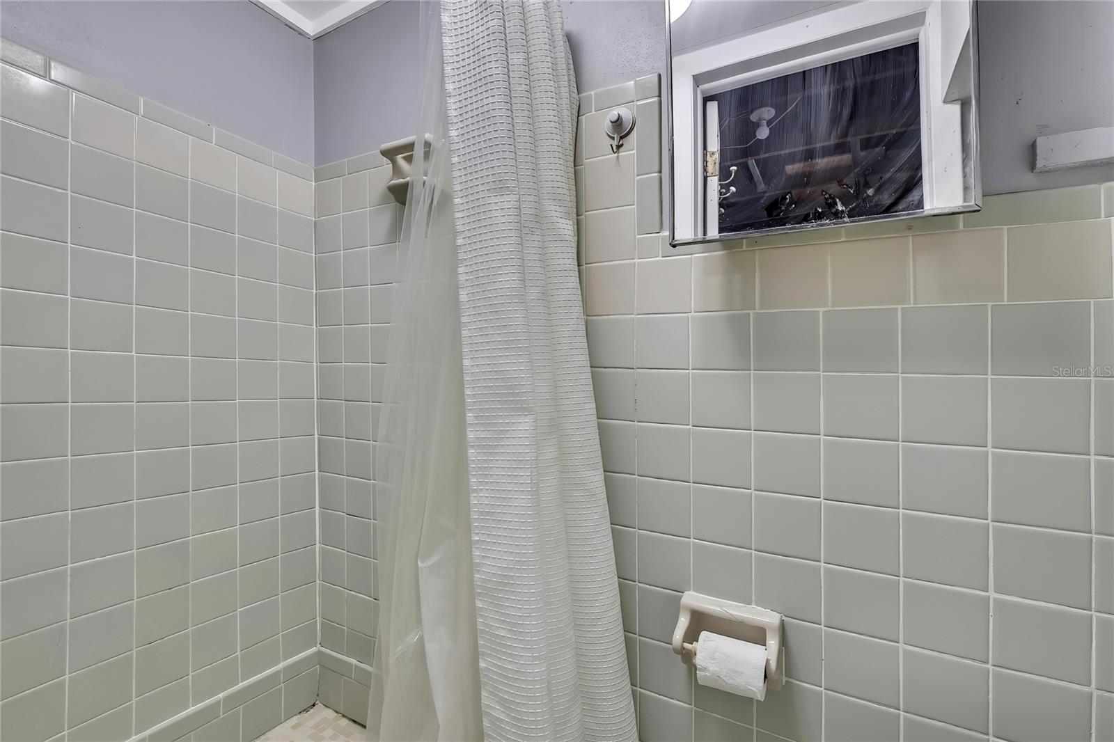 shower view