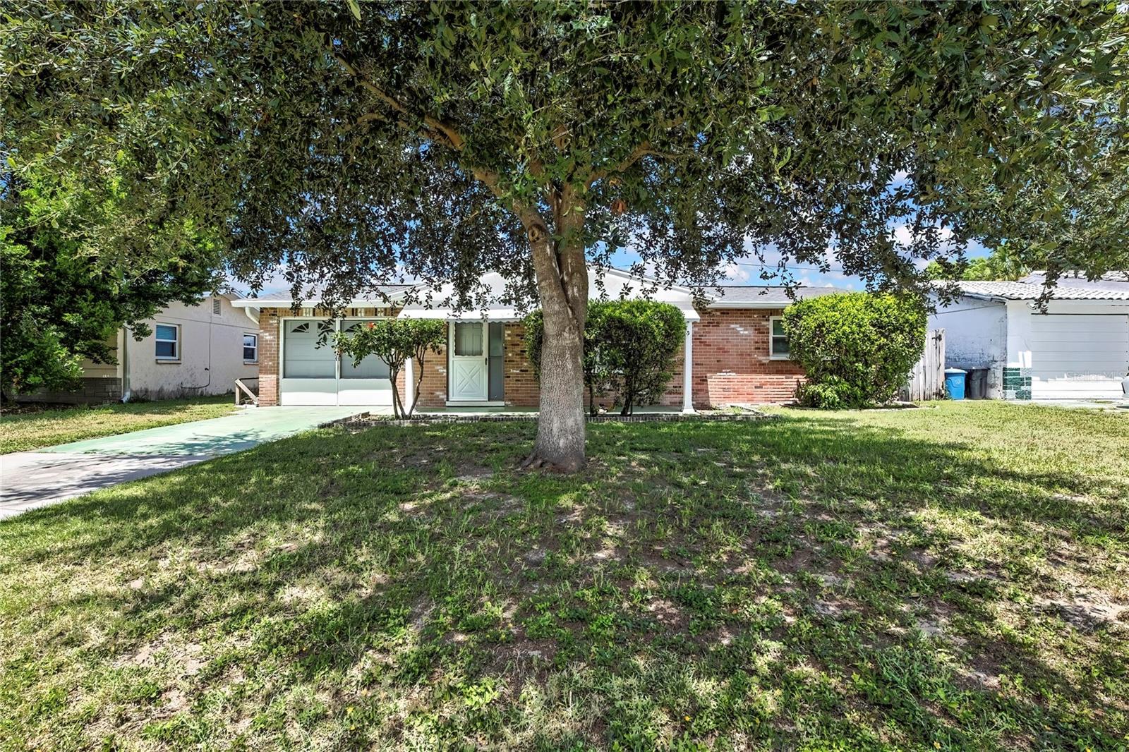 street view of beautiful tree